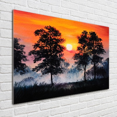 Foto op plexiglas Zonsondergangbos