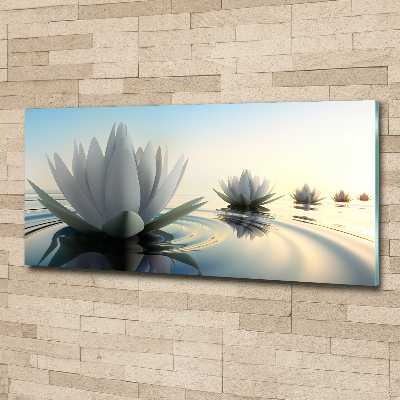 Plexiglas schilderij Lotusbloem