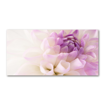 Plexiglas foto Witte dahlia