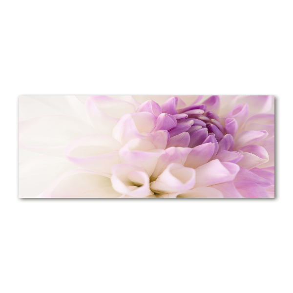 Plexiglas foto Witte dahlia