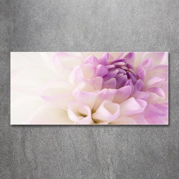 Plexiglas foto Witte dahlia