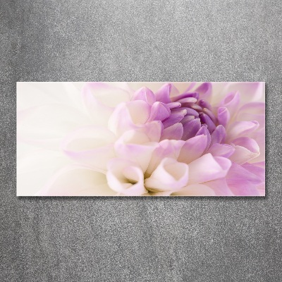 Plexiglas foto Witte dahlia