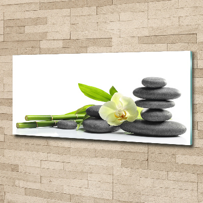 Foto plexiglas Orchidee