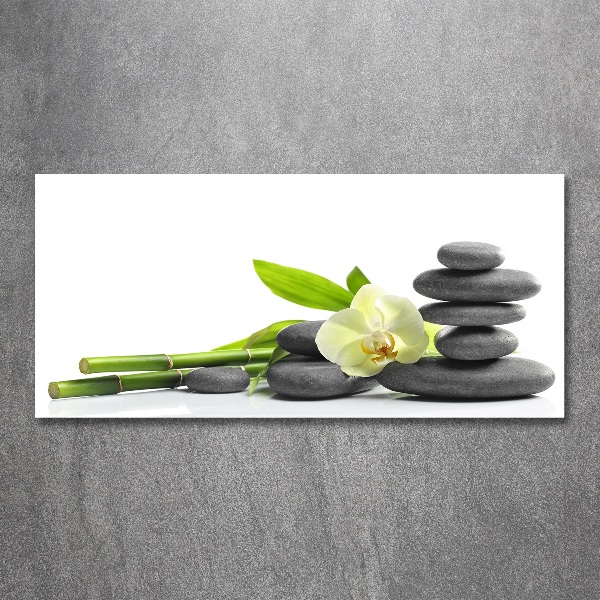 Foto plexiglas Orchidee