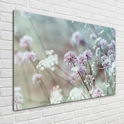 Foto in plexiglas Wilde bloemen