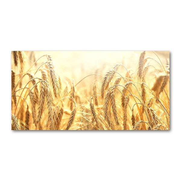 Foto op plexiglas Graan