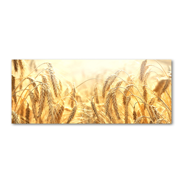 Foto op plexiglas Graan