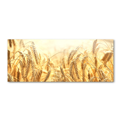 Foto op plexiglas Graan