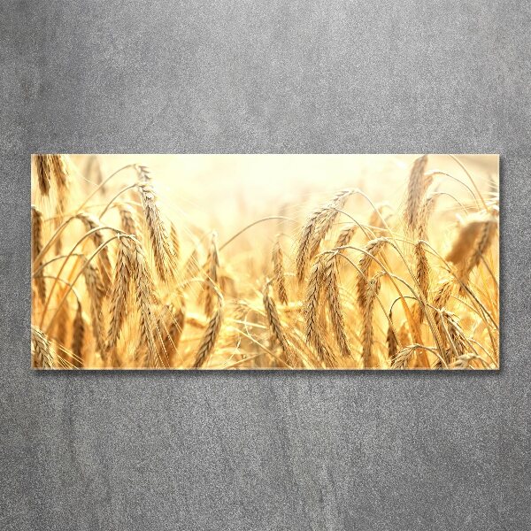 Foto op plexiglas Graan