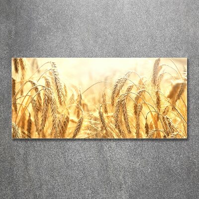 Foto op plexiglas Graan