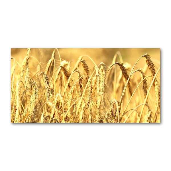 Plexiglas foto Graan