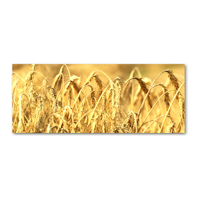 Plexiglas foto Graan