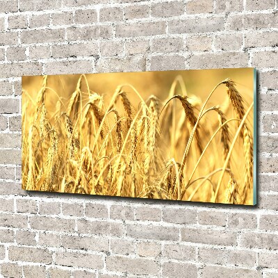 Plexiglas foto Graan