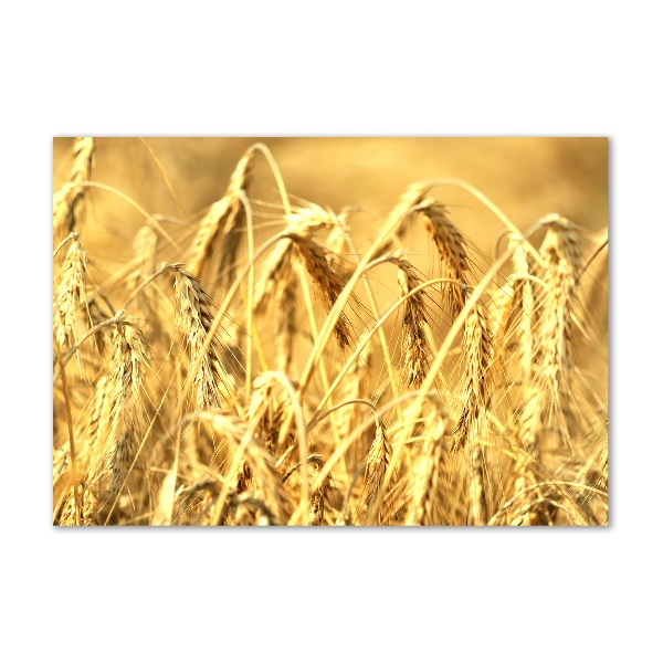 Plexiglas foto Graan