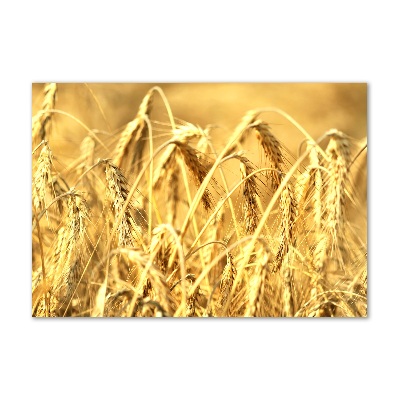 Plexiglas foto Graan