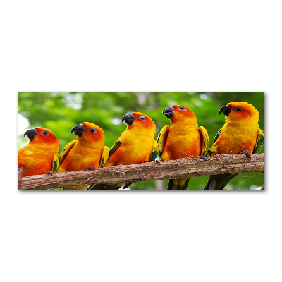 Plexiglas schilderij Papegaaien op een tak