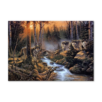 Foto op plexiglas Een roedel wolven