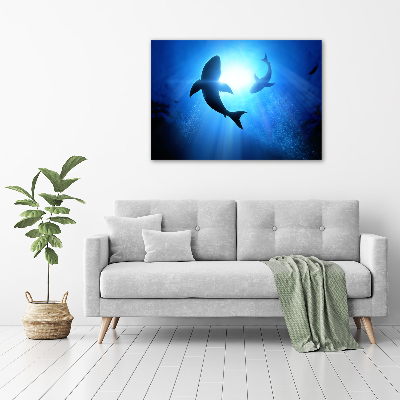 Foto plexiglas Twee haaien