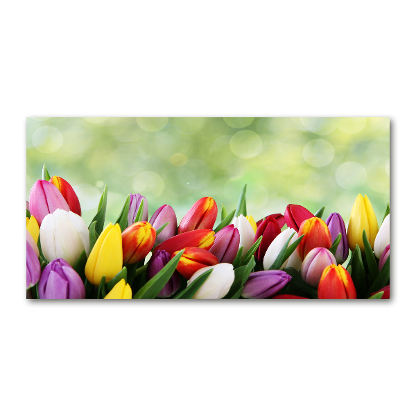 Foto op plexiglas Kleurrijke tulpen