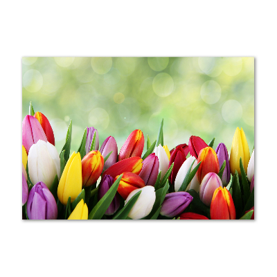 Foto op plexiglas Kleurrijke tulpen