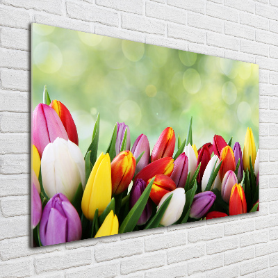 Foto op plexiglas Kleurrijke tulpen