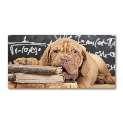 Foto in plexiglas De hond bijt in het boek.