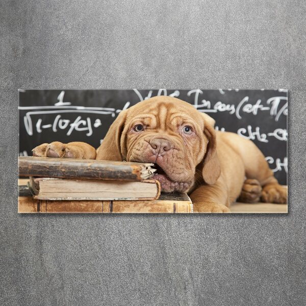 Foto in plexiglas De hond bijt in het boek.