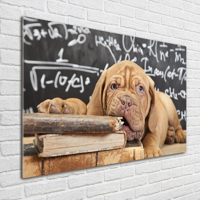 Foto in plexiglas De hond bijt in het boek.