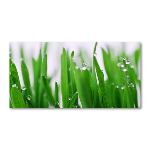 Plexiglas foto grassprieten