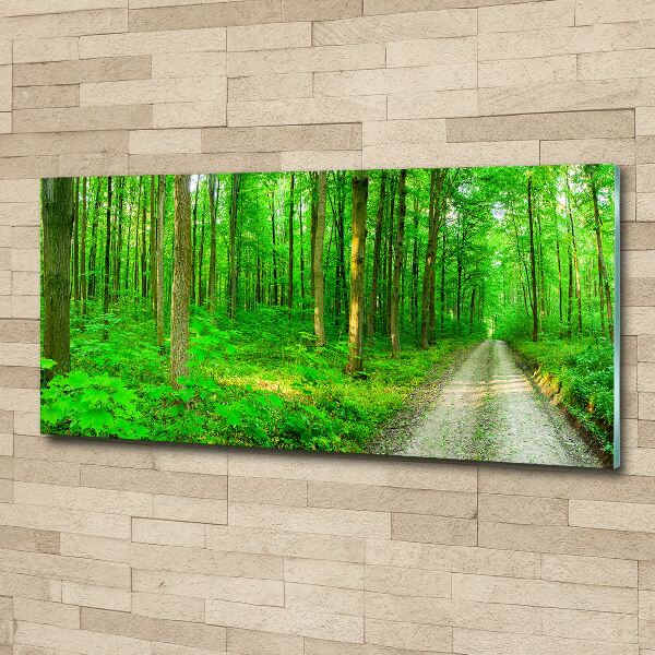 Foto plexiglas Bomen in het bos