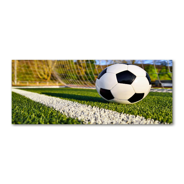 Foto in plexiglas De bal ligt in het doel.