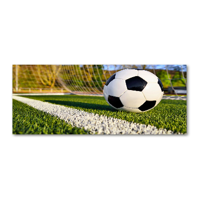 Foto in plexiglas De bal ligt in het doel.