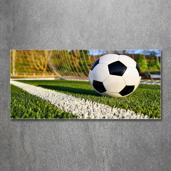 Foto in plexiglas De bal ligt in het doel.