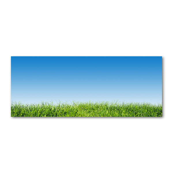 Foto plexiglas Gras