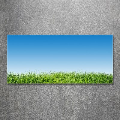 Foto plexiglas Gras