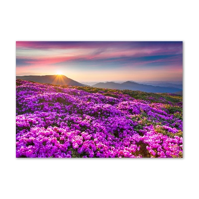 Foto in plexiglas Bloemen in de bergen