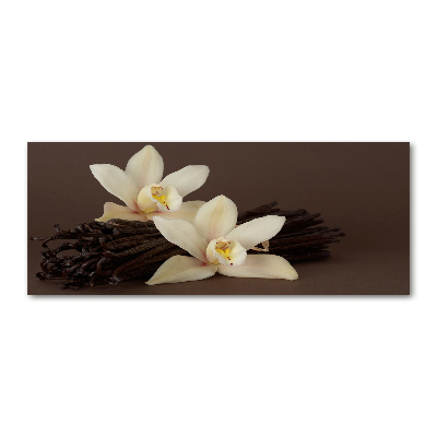 Schilderij op acrylglas Vanillepeulen