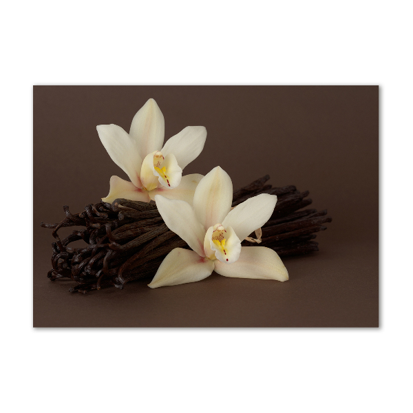 Schilderij op acrylglas Vanillepeulen