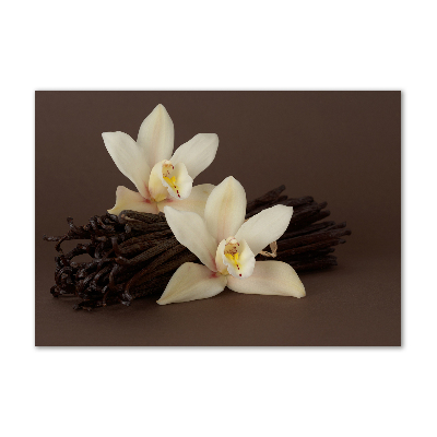 Schilderij op acrylglas Vanillepeulen