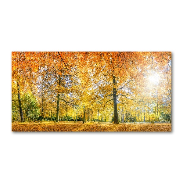 Foto op plexiglas Bos in de herfst