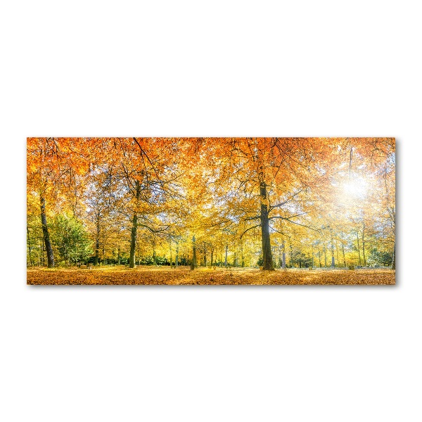 Foto op plexiglas Bos in de herfst