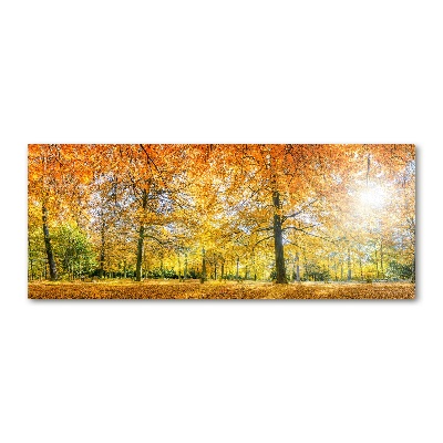 Foto op plexiglas Bos in de herfst