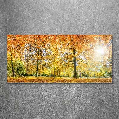 Foto op plexiglas Bos in de herfst
