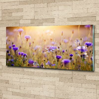 Plexiglas schilderij Wilde bloemen