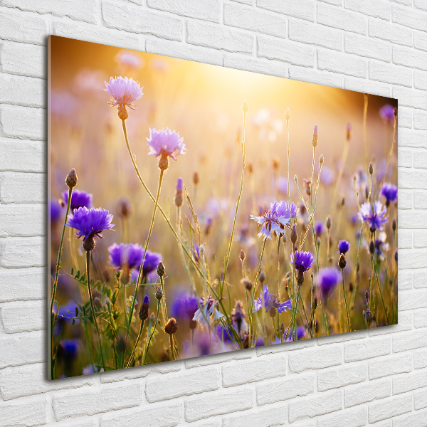 Plexiglas schilderij Wilde bloemen
