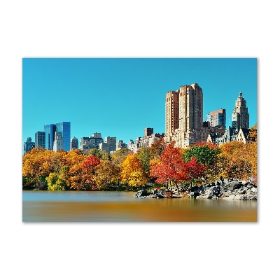 Foto in plexiglas New York in de herfst