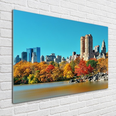 Foto in plexiglas New York in de herfst