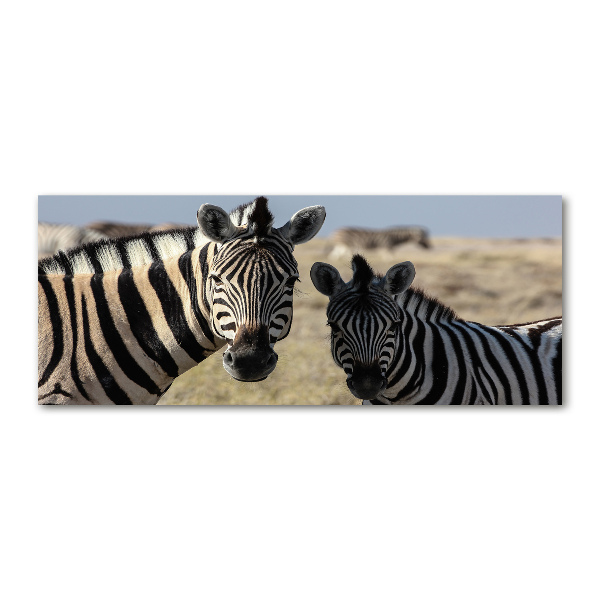 Foto op plexiglas Twee zebra's