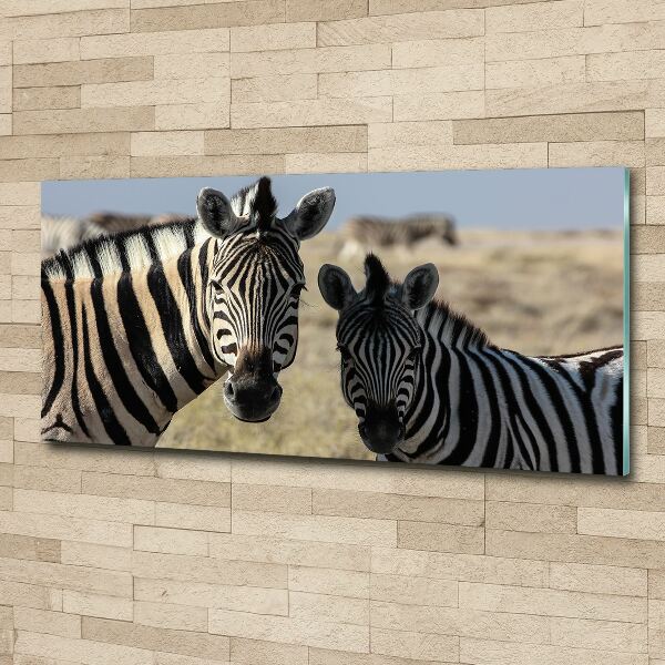 Foto op plexiglas Twee zebra's