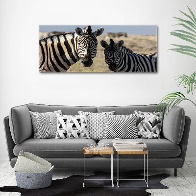 Foto op plexiglas Twee zebra's
